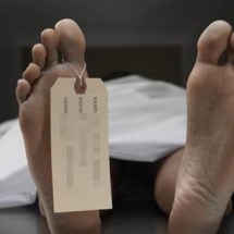 कोरोनाबाट ८ जनाको निधन, ४८४ संक्रमित थपिए